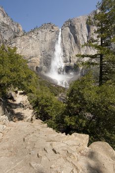 Waterfall in a forest, Yosemite Falls, Yosemite Valley, Yosemite National Park, California, USA