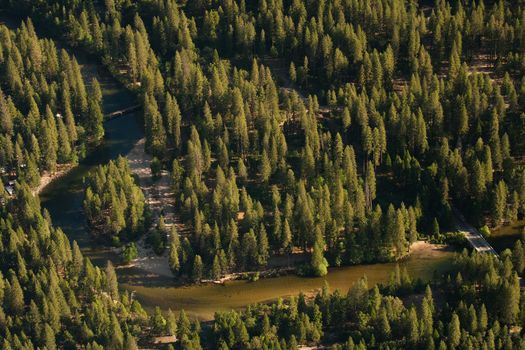 Aerial view of river in pine tree forest, Yosemite National Park, California, U.S.A.