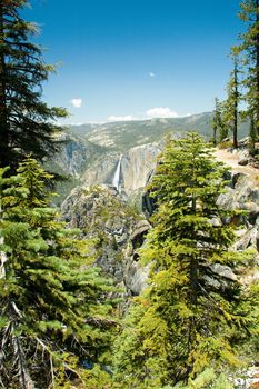 Scenic view of pine trees and mountains in Yosemite National Park, California, U.S.A.