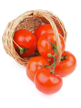 Fresh Ripe Tomatoes with Stems and Twigs Scattered from Wicker Basket isolated on white background