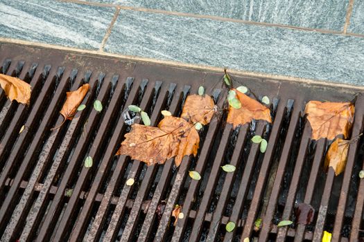 Falling leaves in a street gutter - fall winter background