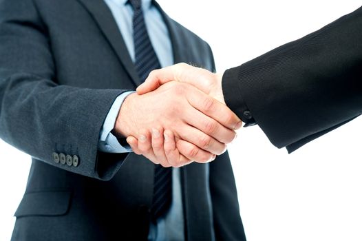 Business handshake after striking deal