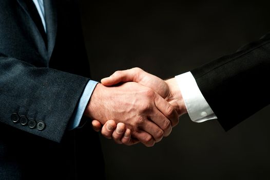 Business partners shaking hands, closeup shot