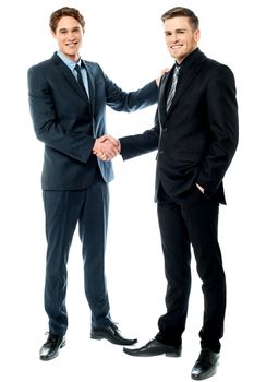 Handsome businessmen shaking hands