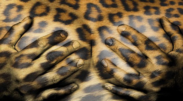 Upper part of female body, hands covering breasts, leopard skin