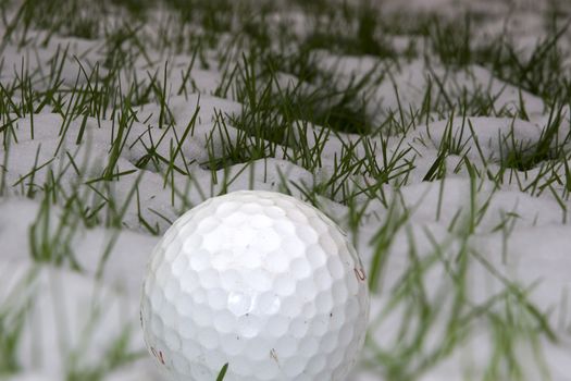 a lone single golf ball in the snow covered grass in Ireland at winter