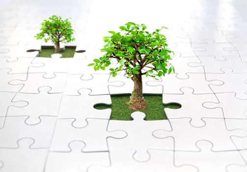 Small trees growing from grass inside a jigsaw 