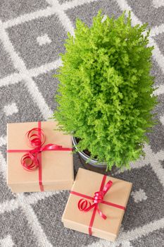 Simple elegant presents near little Christmas tree.