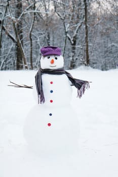 snow man standing close up