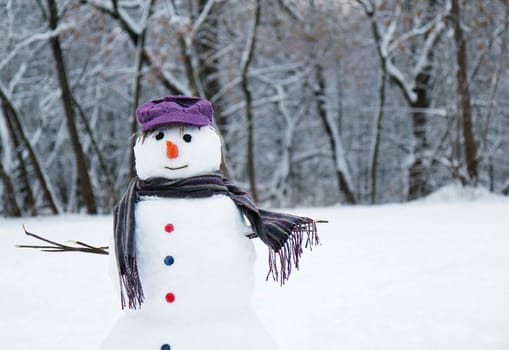 snow man standing close up
