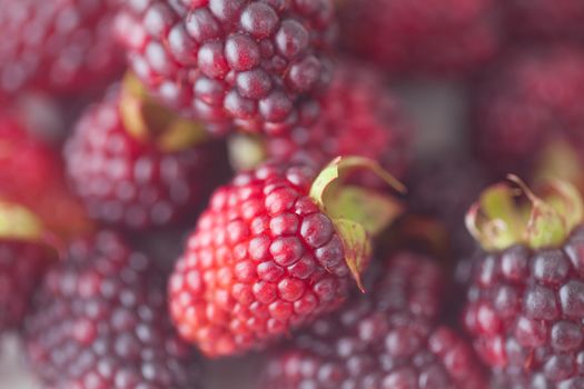 blackberries on plate on checkered fabric