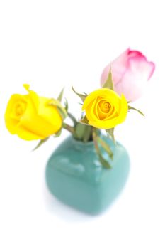 bouquet of colorful roses in vase isolated on white