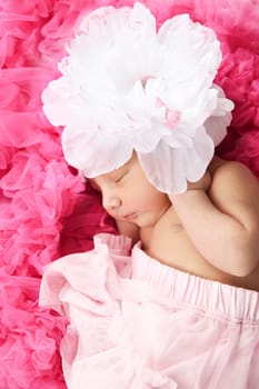 Beautiful newborn baby girl wearing a flower hat