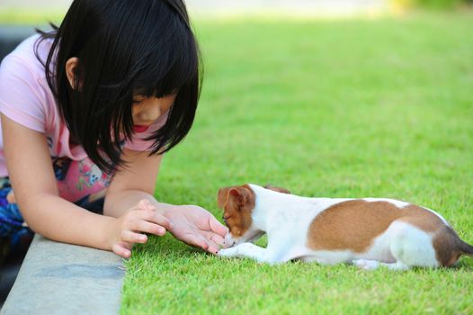 giving a dog snack