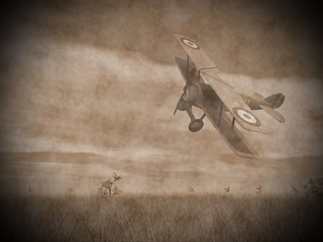 Vintage image of a biplane flying upon the grass with flowers