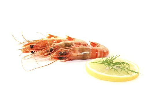 three fresh cooked orange prawns with lemon and dill on a light background