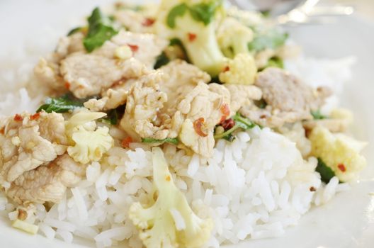 stir fried pork with chillies basil leaves and steam rice, Thai food