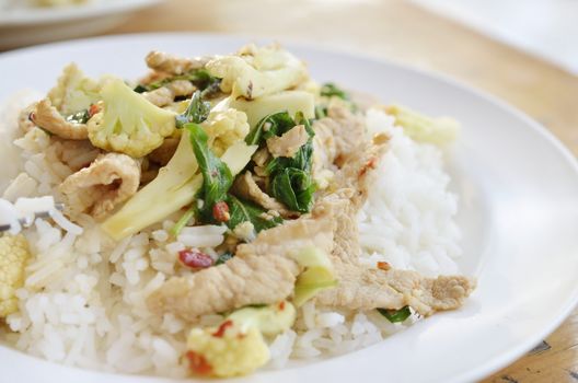 stir fried pork with chillies basil leaves and steam rice, Thai food