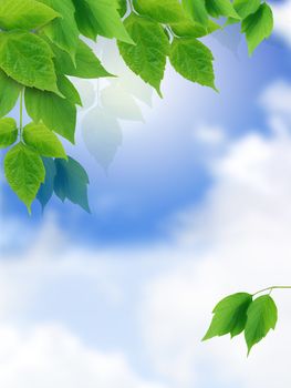 Nice border made from green leaves on background with blue sky and clouds