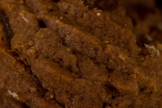 Macro of delicious chocolate christmas cookie