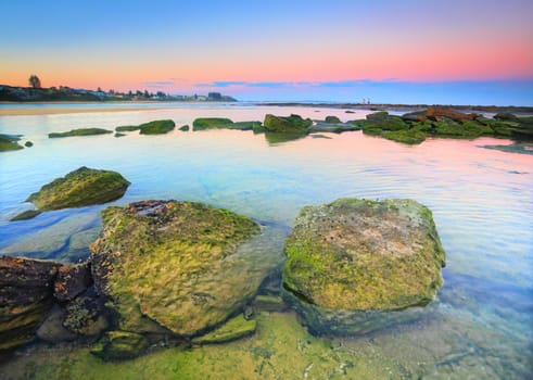 Moss covered rocks on the rocky reef shelf at teh end of Toowoon Bay, Australia at sundown.