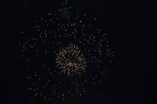 Colorful firework in the black night sky