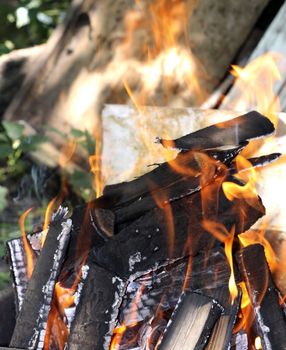 Burning bonfire outdoor on the summer garden