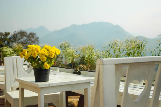 Potted yellow flower on a white bench in the valley.
