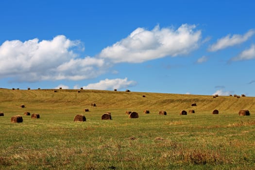 Straw roll bale on the field of farmland