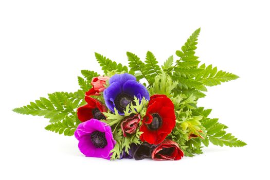 Bouquet Anemones on white background