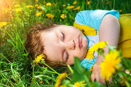 Closeup portrait of a little baby boy sleeping outdoors on grass.