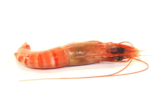 Black Tiger Shrimp on a white background