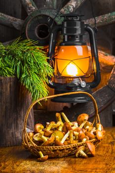 Still life of yellow boletus mushrooms in a basket