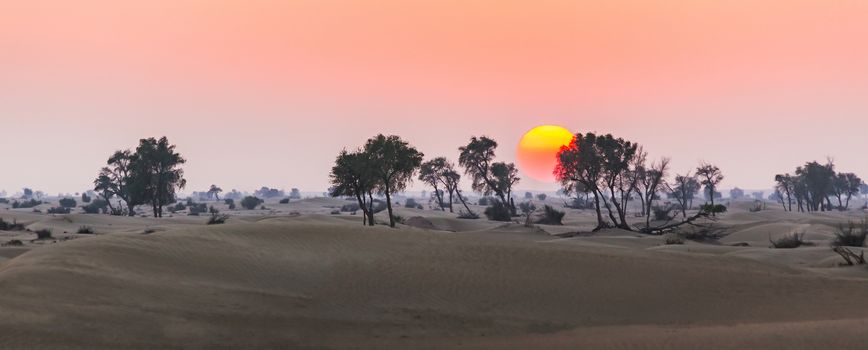 The Arabian desert on a hot sunny day