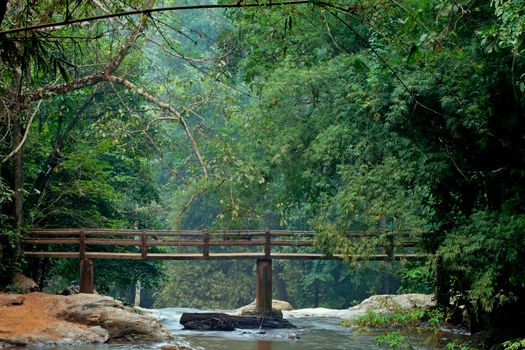 Waterfall in The forest at Chiang Mai , Thailand