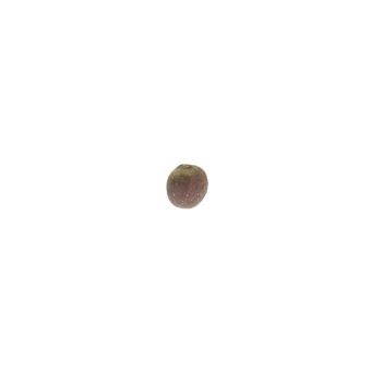 Macro of a brussel sprout seed isolated on white background