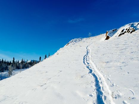 Snow-shoe track prints in deep powder leading up hillside slope pristine winter wonderland wilderness