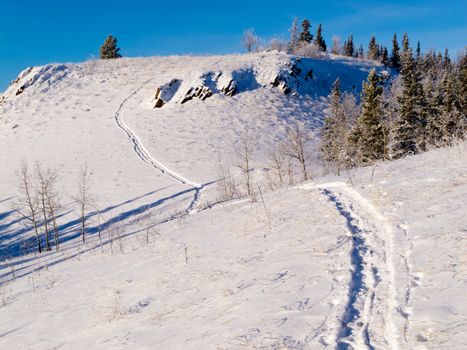 Snow-shoe trail prints in deep powder snow of pristine winter wonderland hills wilderness