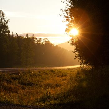 Sunrise or sunset on a deserted country road with the sun glowing brightly illuminating a row of conifers bordering the tar