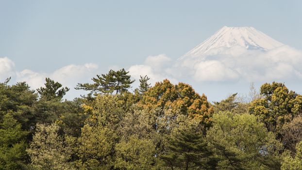 Mt Fuji view in japan