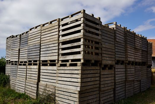 Old wooden pallets for cargo and logistic in a farm yard