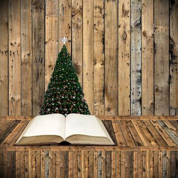 Read bible in Christmas day, Holiday concept