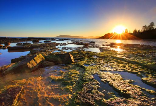 Golden sunrays stretch across the Toowoon Bay reefs,   View to Little Bay, Australia