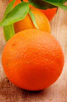 Fresh Ripe Tangerines with Stems and Leafs closeup on Rustic Wooden background