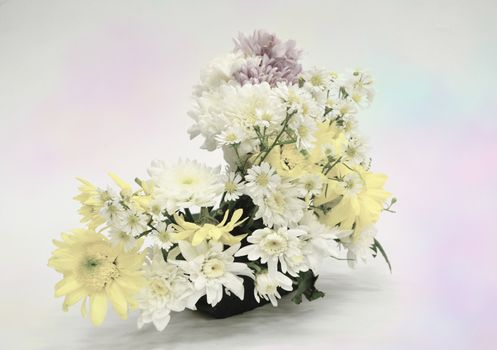 Bouquet of Flowers in a Glass on Pastel background