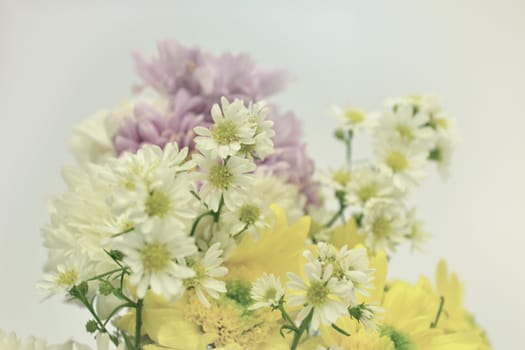 Bouquet of Flowers in a Glass on Pastel background