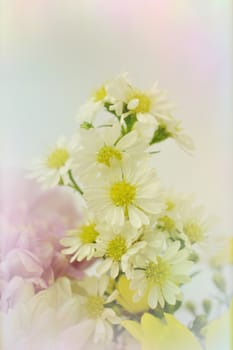 Bouquet of Flowers in a Glass on Pastel background