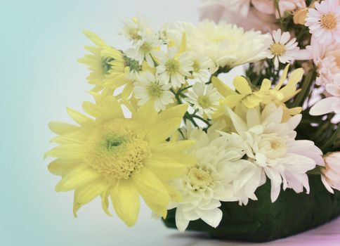 Bouquet of Flowers in a Glass on Pastel background