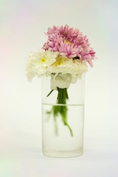 Bouquet of Flowers in a Glass on white background