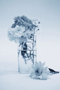 Bouquet of Flowers in a Glass on monotone color